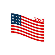 美国2020年大选设计元素