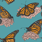 复古线艺术帝王蝶在马利筋图案