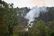 巴西米纳斯吉拉斯州的野火