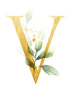 金字V装饰水彩树叶