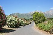 Stellenbosch葡萄酒之乡，南非