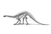 雷龙是一种巨大的四足蜥脚类恐龙