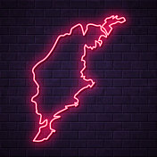 戈特兰地图-在砖墙背景上发光的霓虹灯