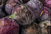 红白菜在农贸市场出售