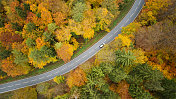 穿越秋天森林的道路-鸟瞰图