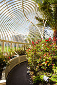 都柏林植物园温室