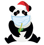 医用面具熊猫和圣诞帽