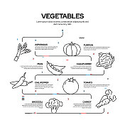 蔬菜相关过程信息图表设计，线性风格矢量插图