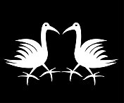 鸟,景观,起重机