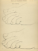 画脚、脚趾、维多利亚流行人物画复制品