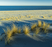 德国西尔特岛海滩上的沙丘和草地