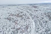 鸟瞰图的混合森林覆盖着雪。