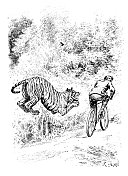 古董插图:人与老虎