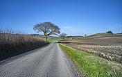 一车道乡村公路