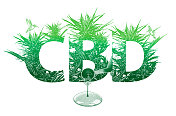 CBD油与大麻叶