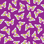 热带蝴蝶无缝图案