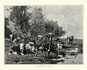 牛在柳树旁的田野里，19世纪