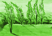 水彩画风景树木和绿色草坪太阳和风在杨树