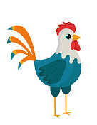 鸡与彩色羽毛，矢量插图，矢量插图孤立