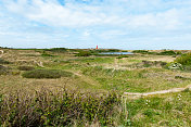 Texel上的红色灯塔周围的风景