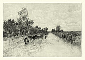 马车行驶在乡村公路上，德国，19世纪