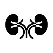 肾脏学图标,矢量符号插图。 肾脏学图标,矢量符号插图。