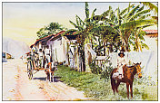 古老的彩色照片:新赫罗纳，松树岛(青年岛)