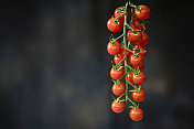 藤蔓上的番茄
