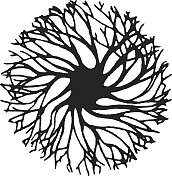 圆形树的形状 圆形树的形状