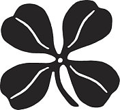 四叶苜蓿 四叶苜蓿