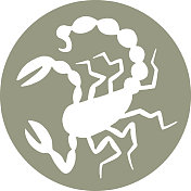 蝎子图标 蝎子图标