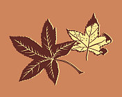 两片叶子的插图 两片叶子的插图