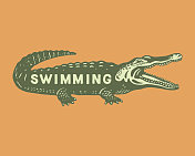 插图鳄鱼与游泳文字写在上面