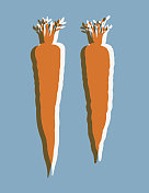 两根胡萝卜