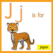 矢量插图学习字母为儿童与卡通形象。字母J代表美洲虎。