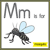 矢量插图学习字母为儿童与卡通形象。字母M代表蚊子。
