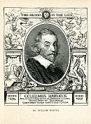 威廉・哈维,英国医生,1896年 威廉・哈维,英国医生,1896年