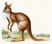 说明1899 说明1899