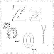 向量插图学习字母Z的小写和大写的儿童与3卡通图像。斑马零Zip。