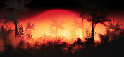 日落背景，棕榈树的轮廓