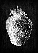 植物学蔬菜植物仿古雕刻插图:草莓