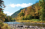 松溪峡谷的秋天景观在伦纳德哈里森州立公园宾夕法尼亚州美国
