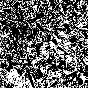 木屑树皮垃圾纹理。黑色灰尘Scratchy Pattern。抽象的背景。矢量设计作品。变形的效果。裂缝。 木屑树皮垃圾纹理。黑色灰尘Scratchy Pattern。抽象的背景。矢量设计作品。变形的效果。裂缝。