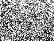 木屑树皮垃圾纹理。黑色灰尘Scratchy Pattern。抽象的背景。矢量设计作品。变形的效果。裂缝。