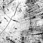 木材树切片-垃圾纹理。黑色灰尘Scratchy Pattern。抽象的背景。矢量设计作品。变形的效果。裂缝。