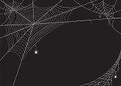 蜘蛛网矢量图