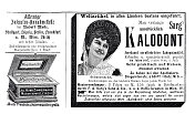 1895年德国杂志广告，kalodon牙膏