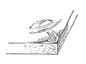 古董插画:马刺、爪(建筑)