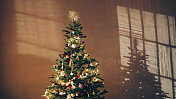 圣诞节前夕:一棵装饰精美的圣诞树