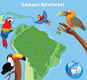 亚马逊雨林与鸟类